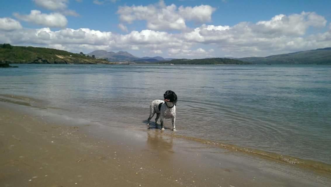 89 Lower Lakeside - Glan Gwna Holiday Park Caernarfon Dış mekan fotoğraf