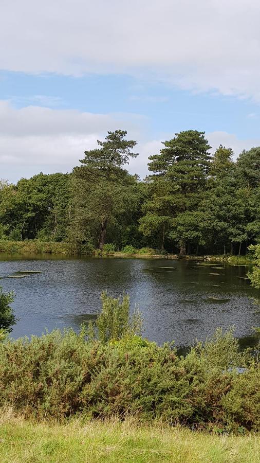 89 Lower Lakeside - Glan Gwna Holiday Park Caernarfon Dış mekan fotoğraf